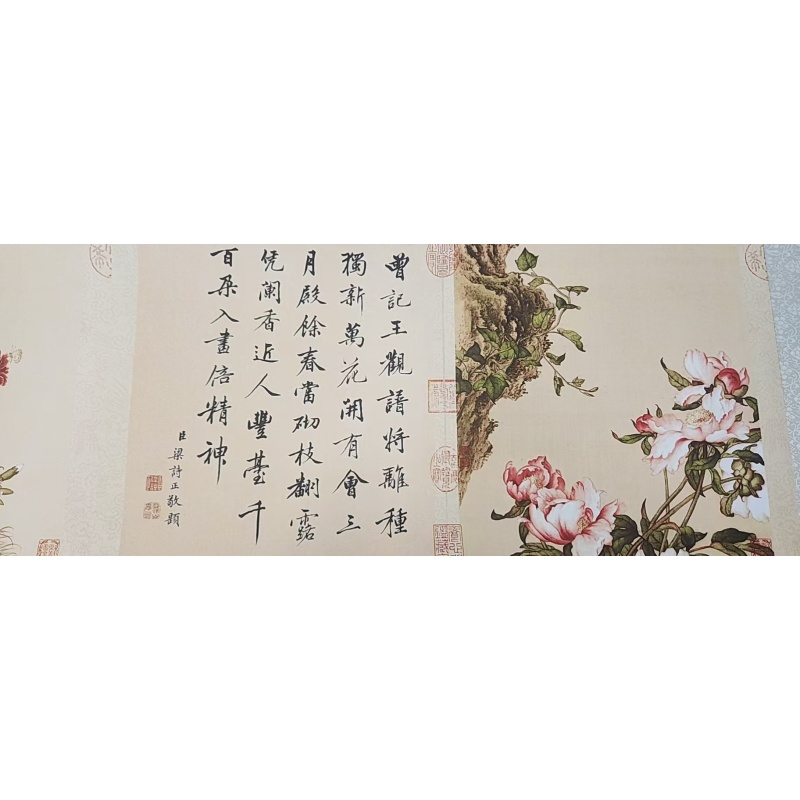 墨韵文化 精品 清代 郎世宁《花鸟册 》780*41 博物馆级高清微喷复