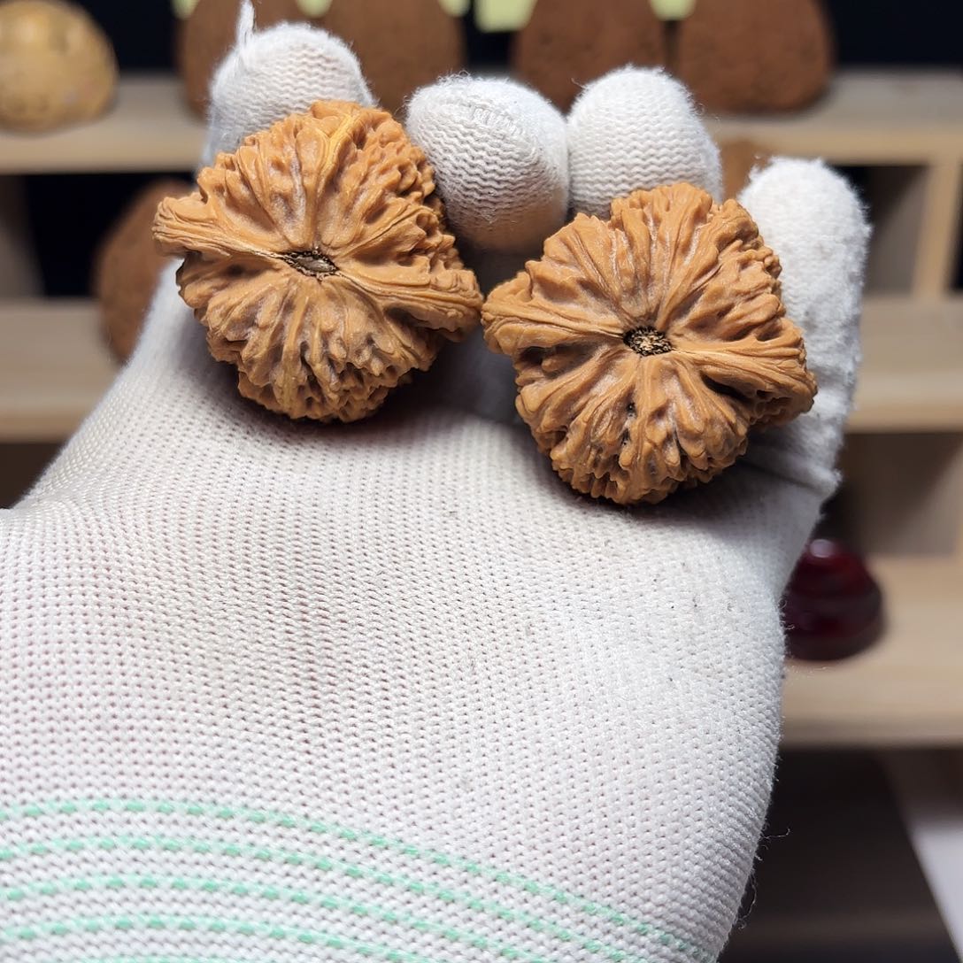 文玩核桃把件南**万涿鹿南将