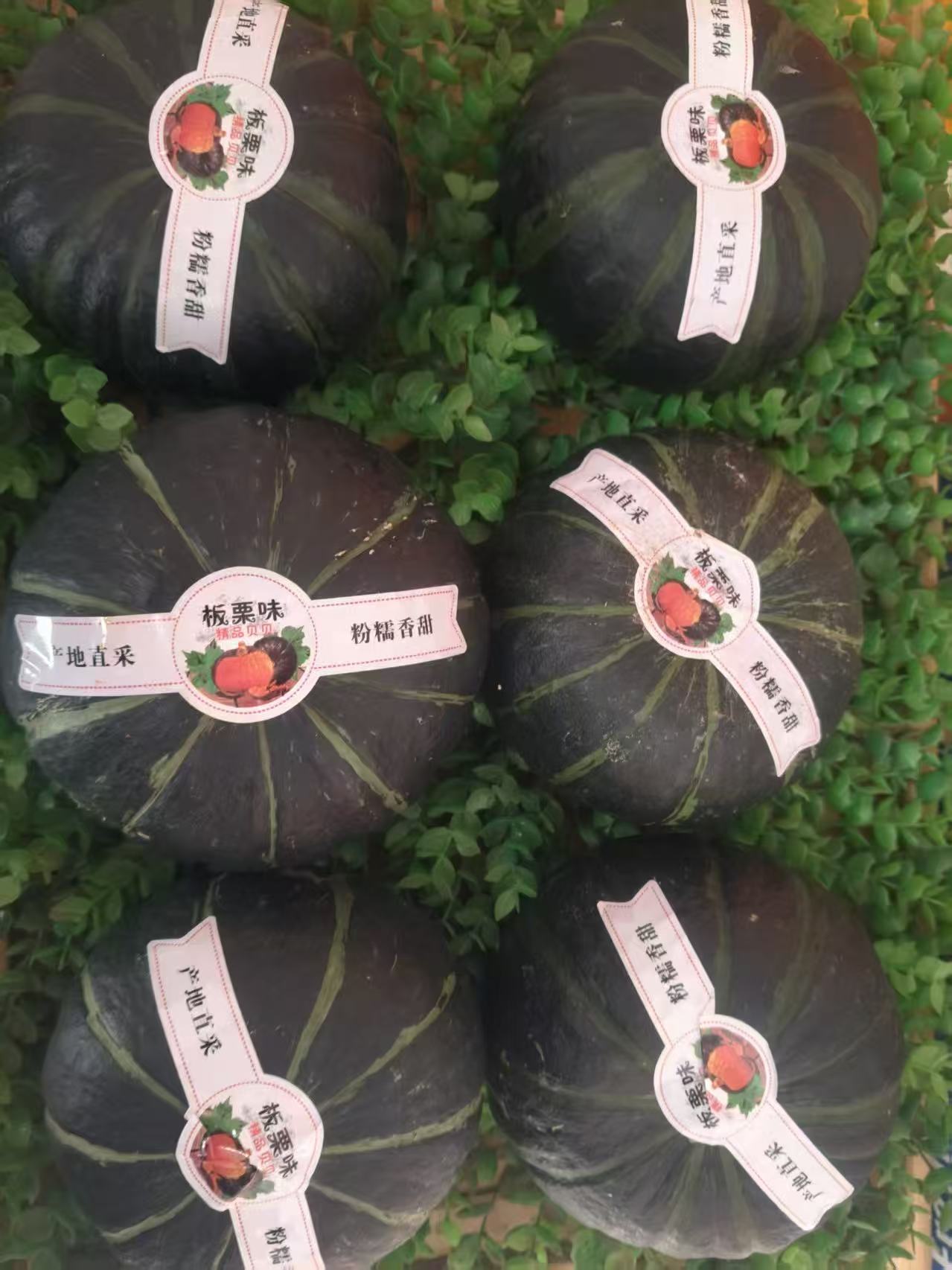 贝贝南瓜正宗板栗味小南瓜新鲜宝宝辅食粉糯营养丰富优质老南瓜