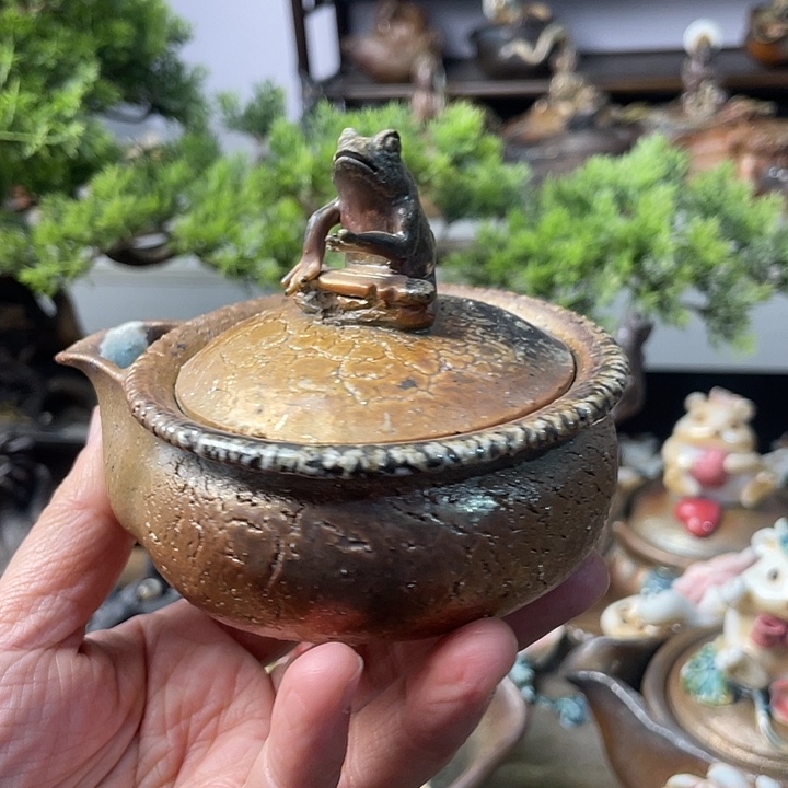 宝瓶宝瓶宝瓶宝瓶宝瓶宝瓶