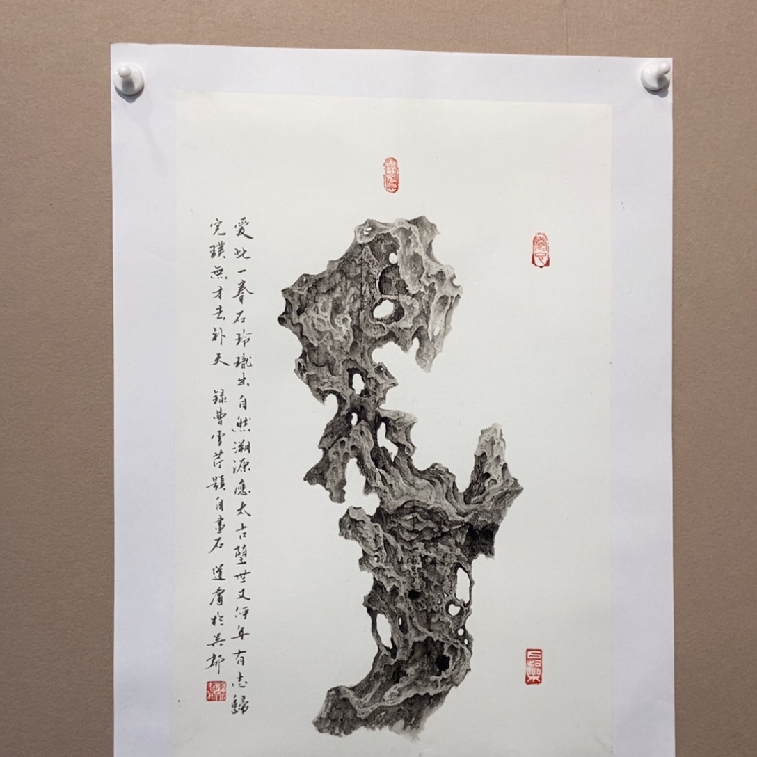 【闪购商品】国画圈*墨鱼精品墨鱼精品