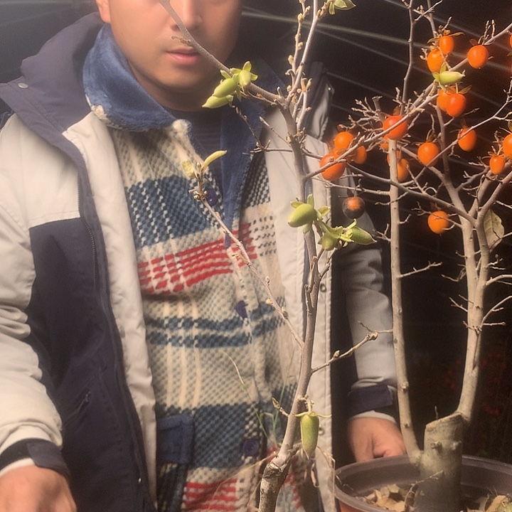 南***南无花朵我们的目标