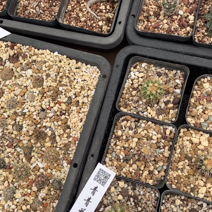 F***d027300000000000000