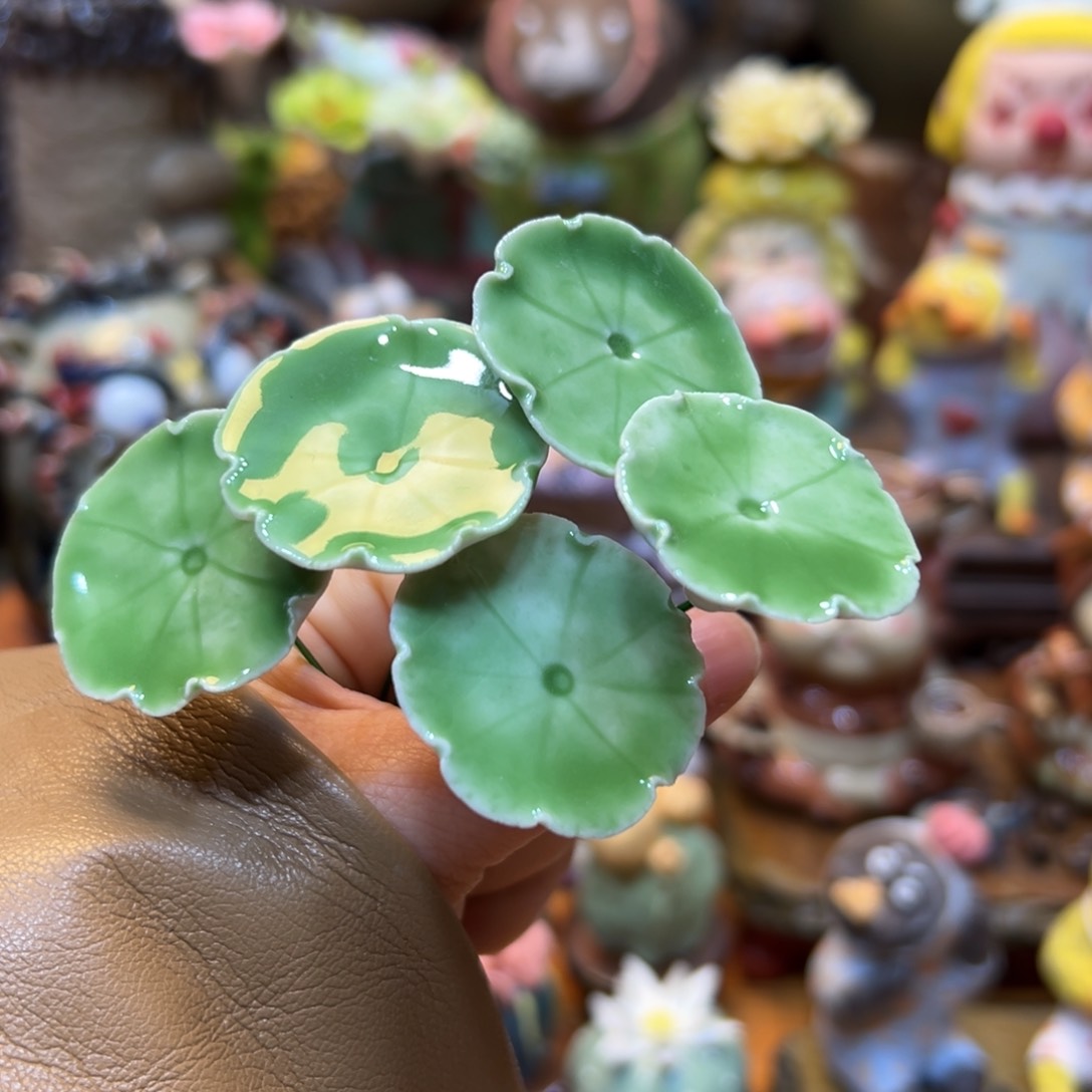 小镇青花每天新品五朵