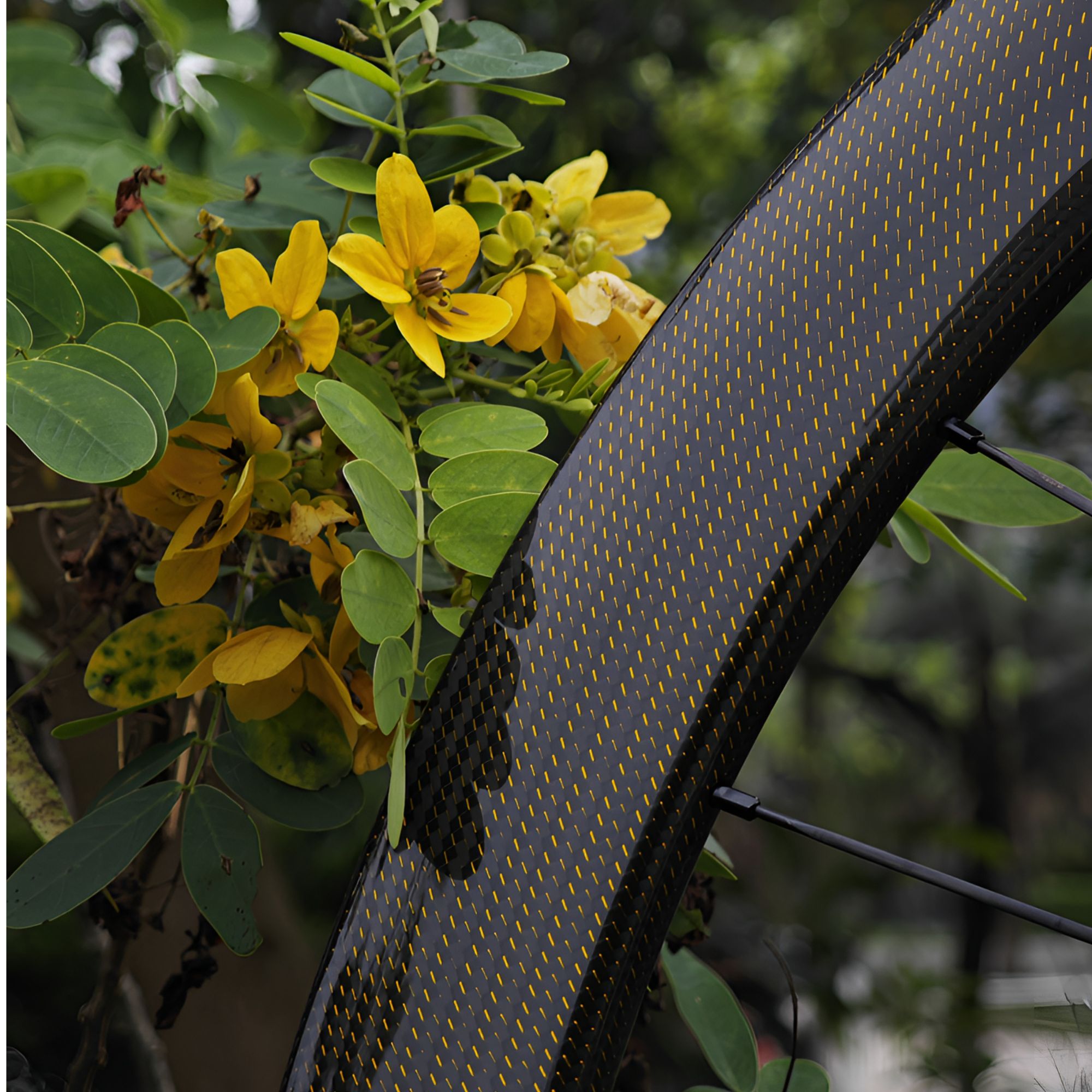 【XM-cycle】旗舰款【金碳】，公路碟刹碳纤维轮组，60T棘轮