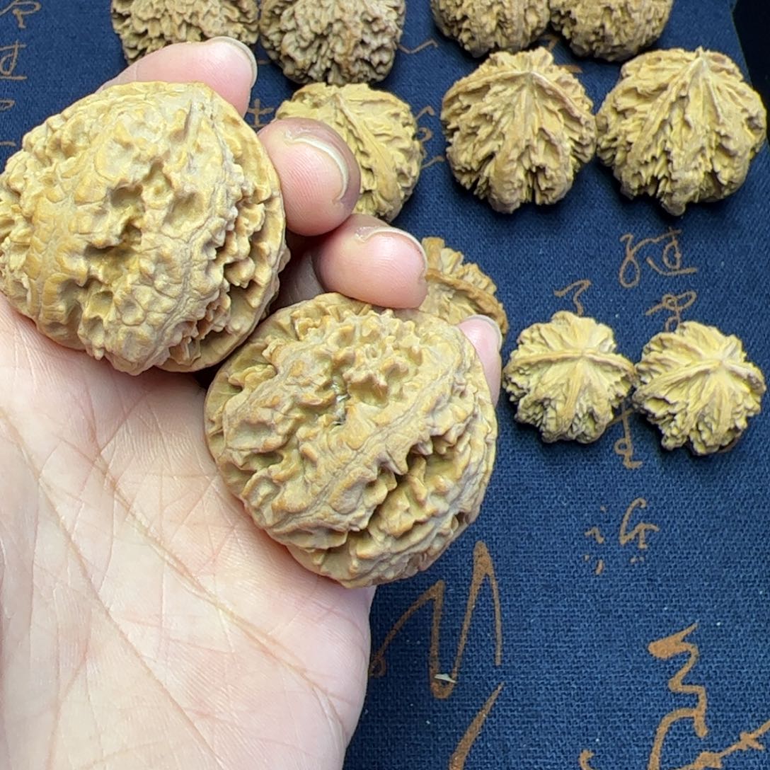 文玩核桃把件事**意秦岭野生植物核桃