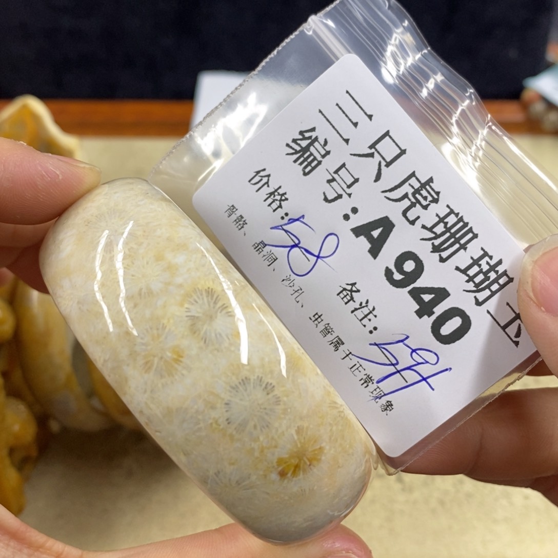 硅化珊瑚（珊瑚玉）1未镶嵌ℳ**