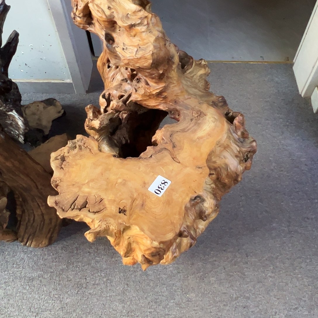 行***者香榧木830gggghhhvbh