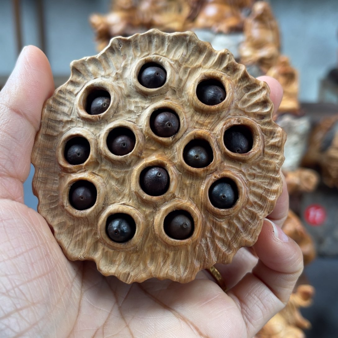 柏木（崖柏）崖柏太行山脉