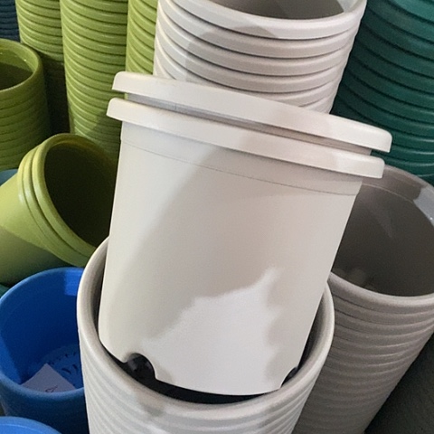 树脂特价5号6个带托灰白