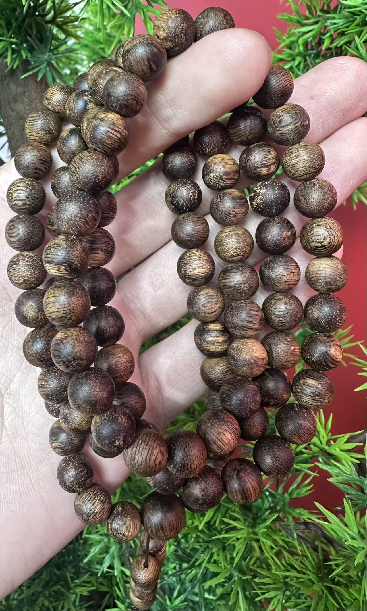 沉香珍藏级！A809野生达拉干天香棋楠多样性发一