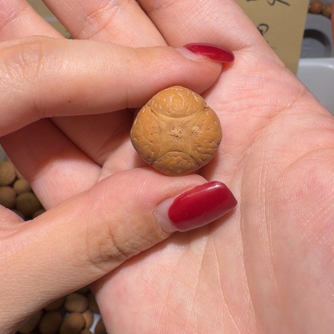 骓***吊坠凤眼菩提骓老板