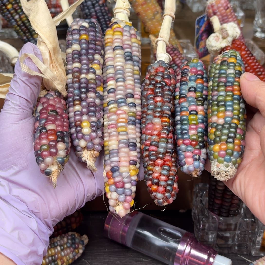 柏香籽/百香籽吊坠喜*