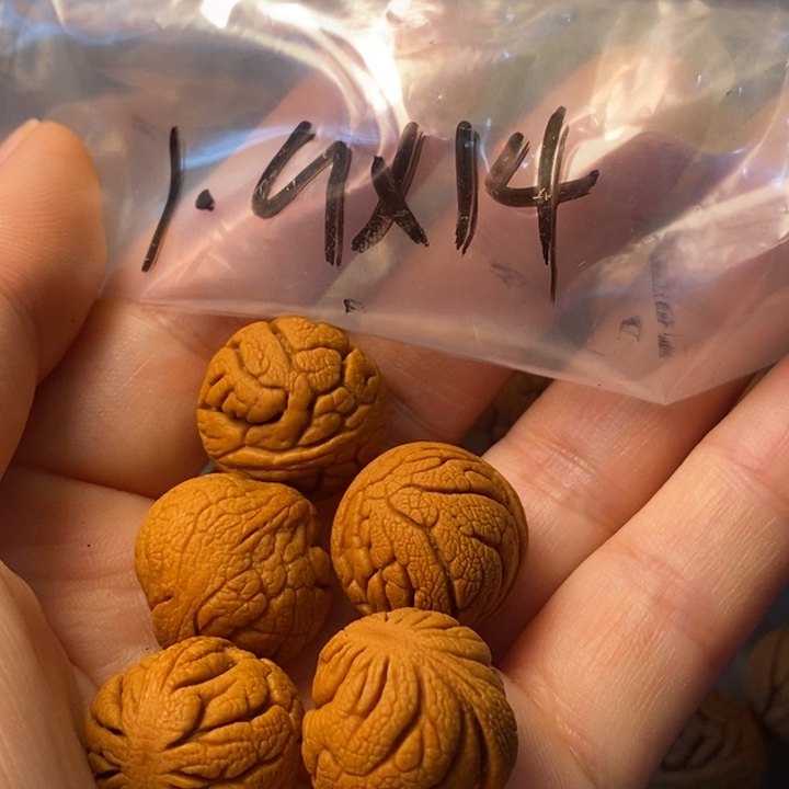 手串桃核秦岭野生龙纹桃核19