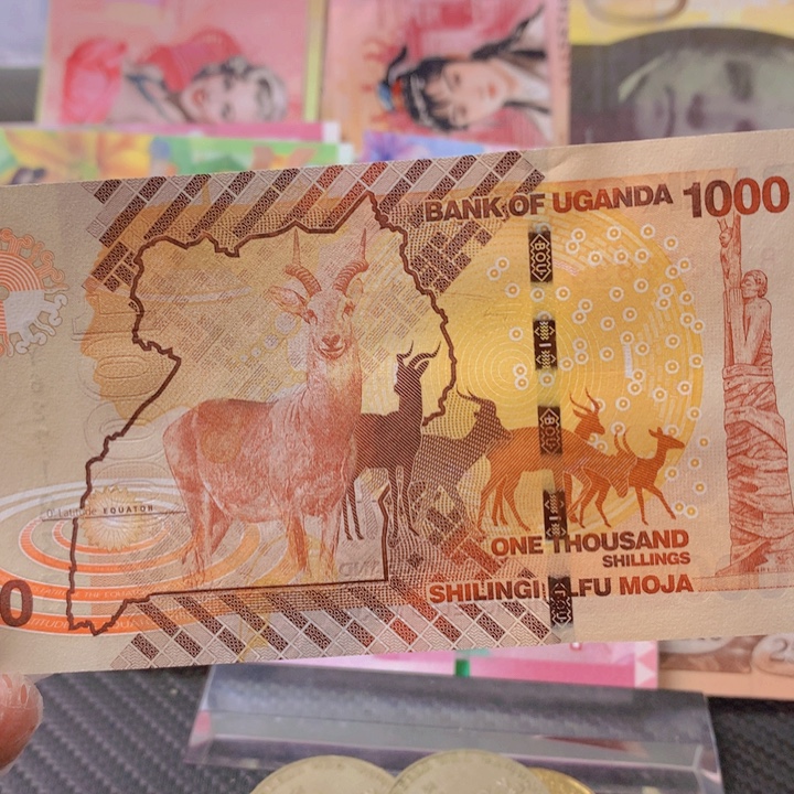 纸币全新纸币乌干达1000