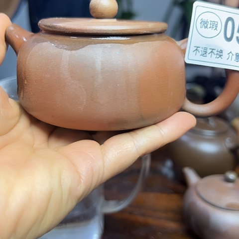 戬谷龙窑柴烧茶壶051