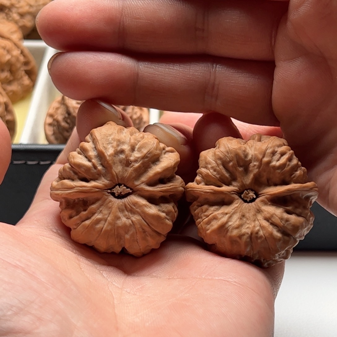 核桃把件三***?延庆蛤蟆头