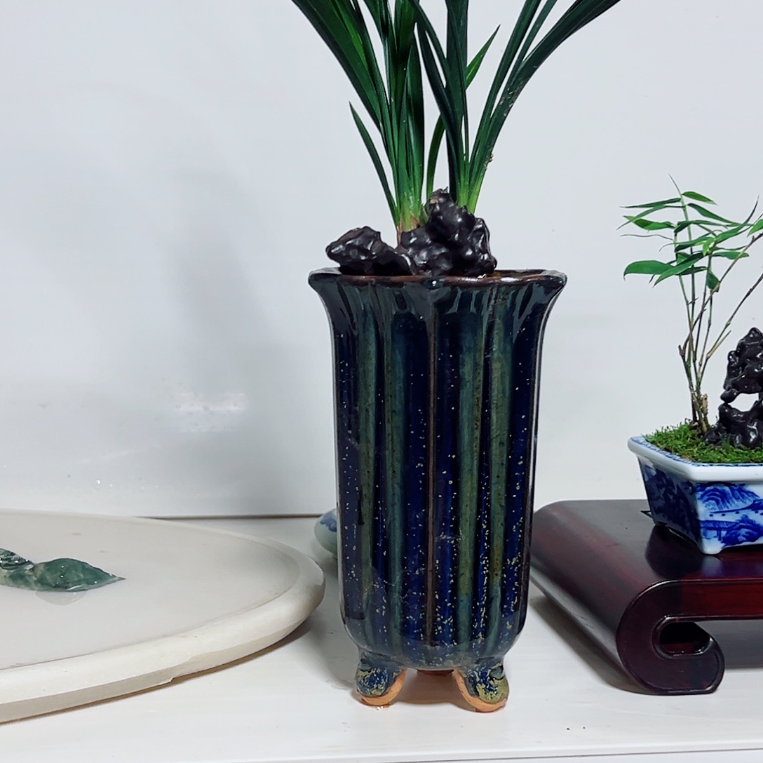 无花朵盆景，兰花，太湖石