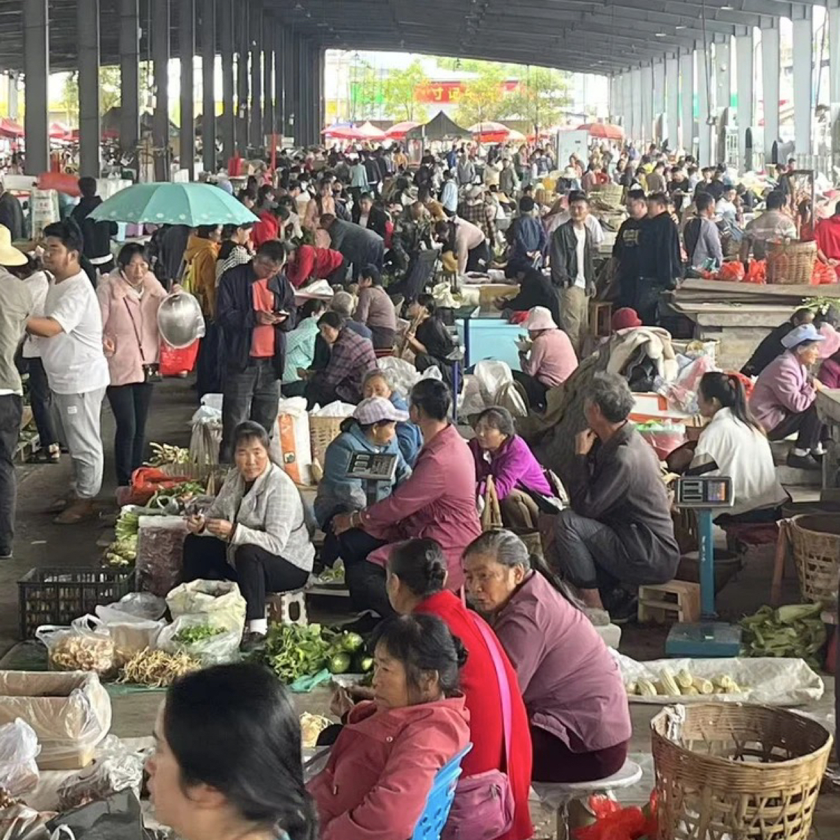 【大个】云南农家临时链接4