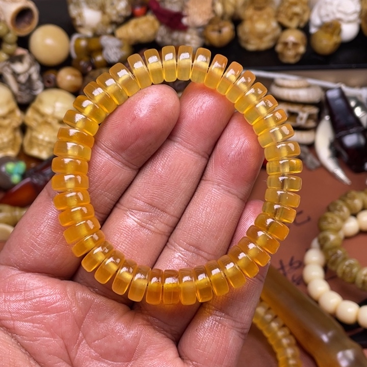 驼骨其他人工养殖