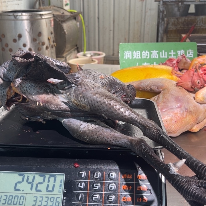 一号母鸡➕鸭子食用农产品珊*