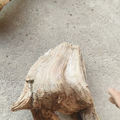 黑***子柏木（崖柏）陈化崖柏毛料