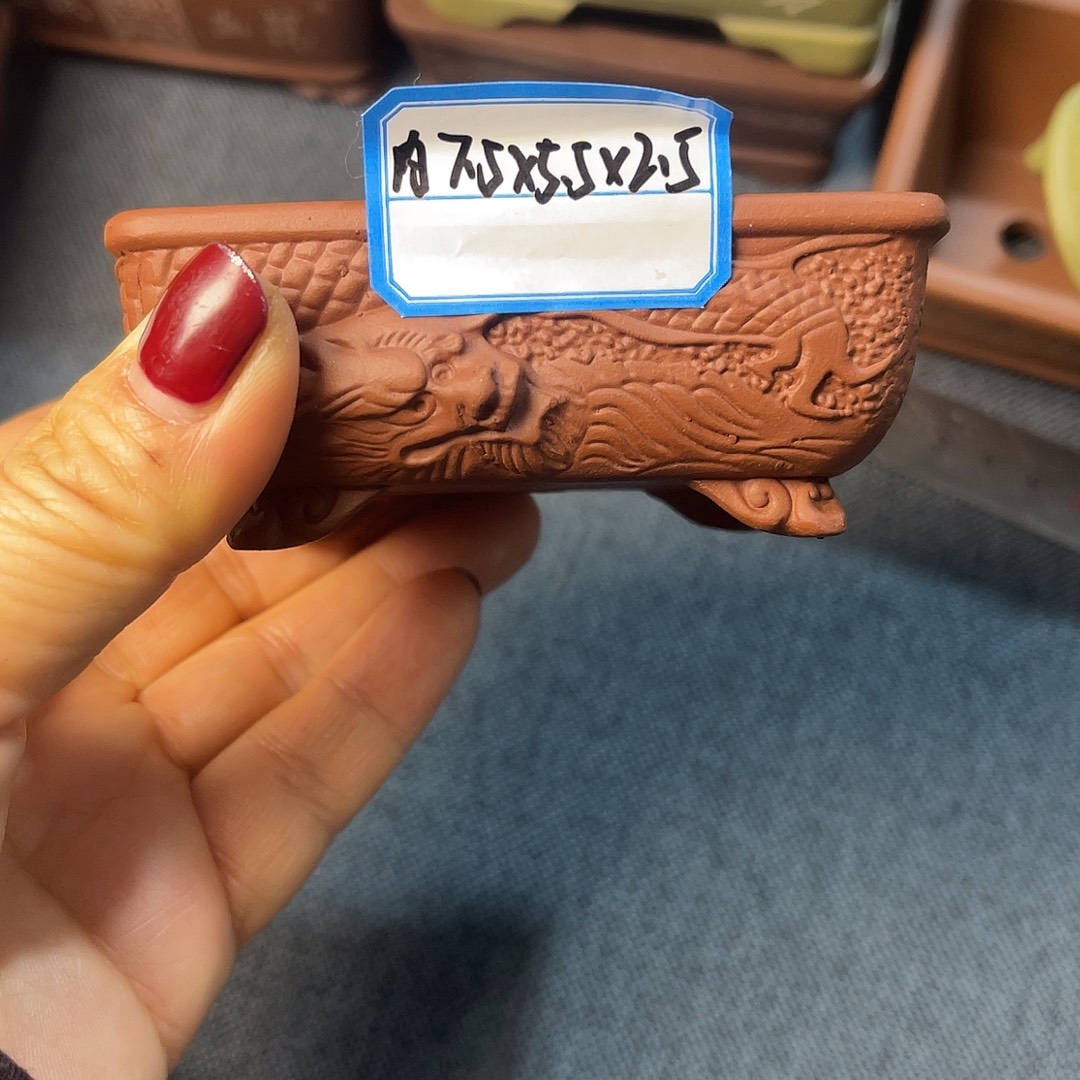 精选紫砂小金龙长方盆