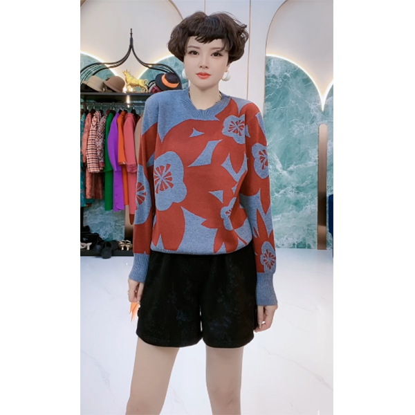 E518 时尚女士复古宽松圆领秋冬洋气上衣