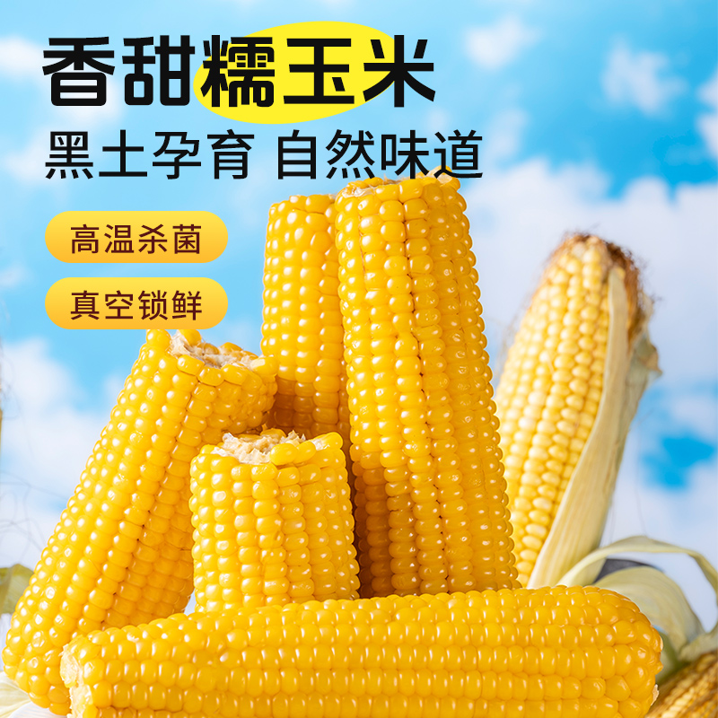 公立屯小黄粘玉米中棒8支装25年新鲜采摘头茬软糯香甜真空包装