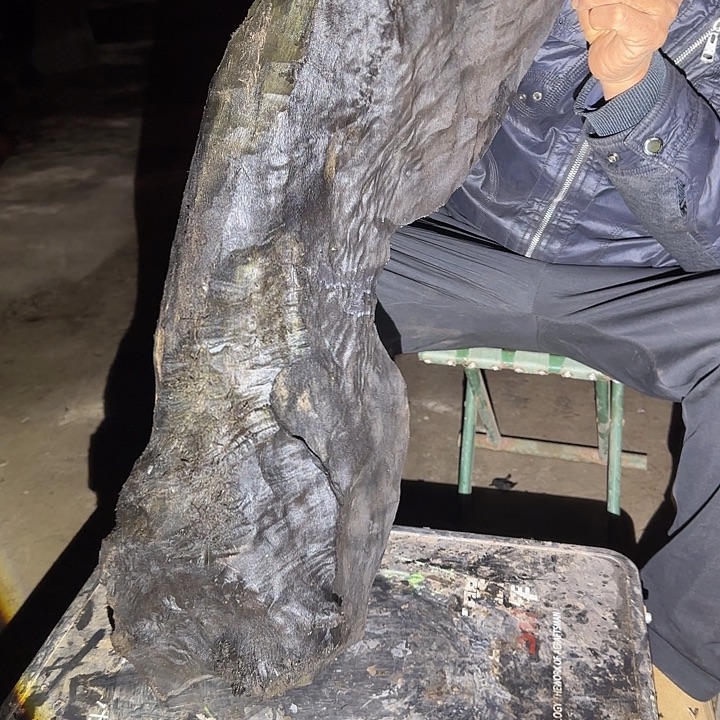 老***馆香榧木金丝楠木原料摆件