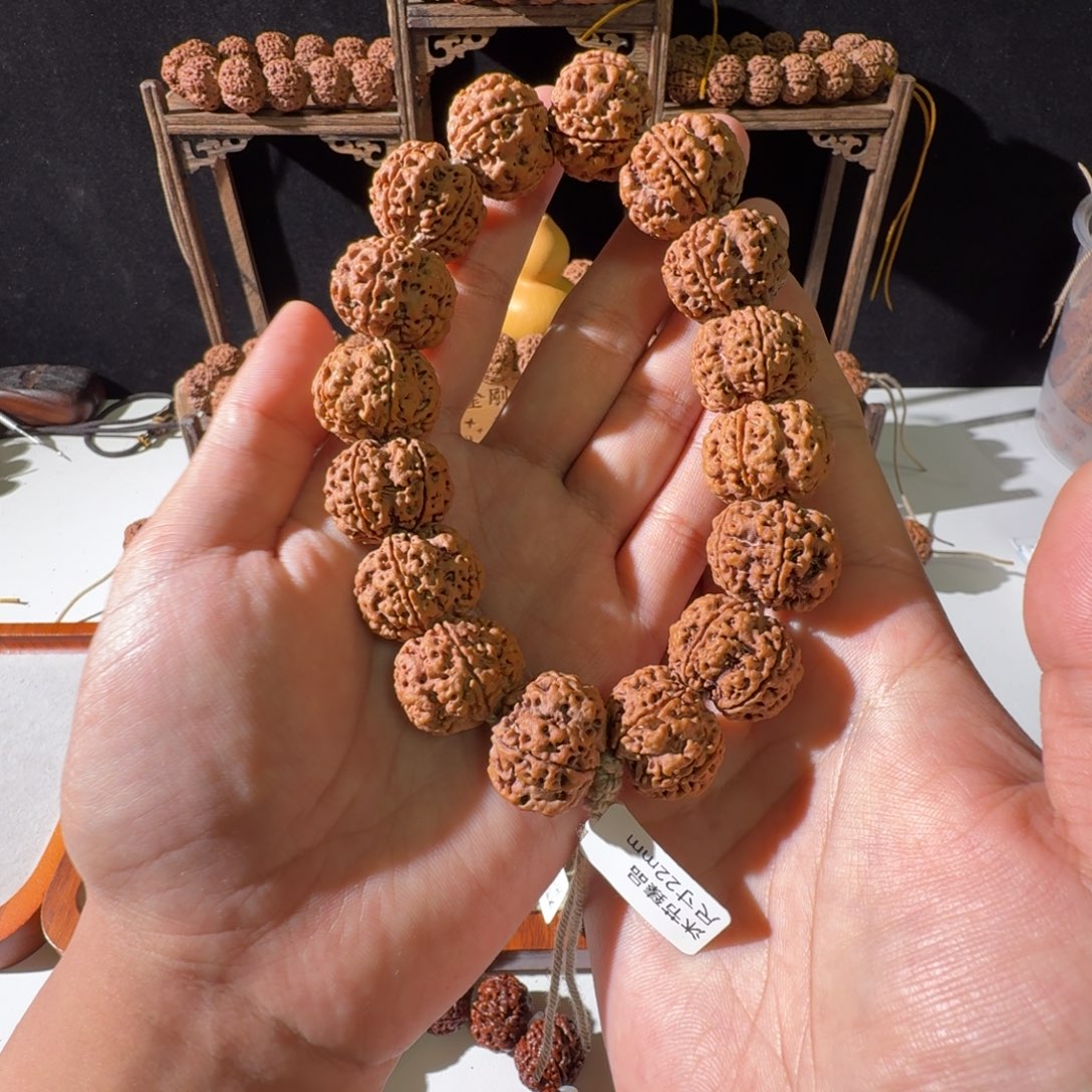 金刚菩提吊坠22尺寸原生态超头