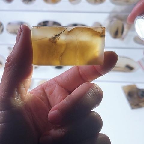 【闪购商品】玛瑙/玉髓珠宝半成品未镶嵌