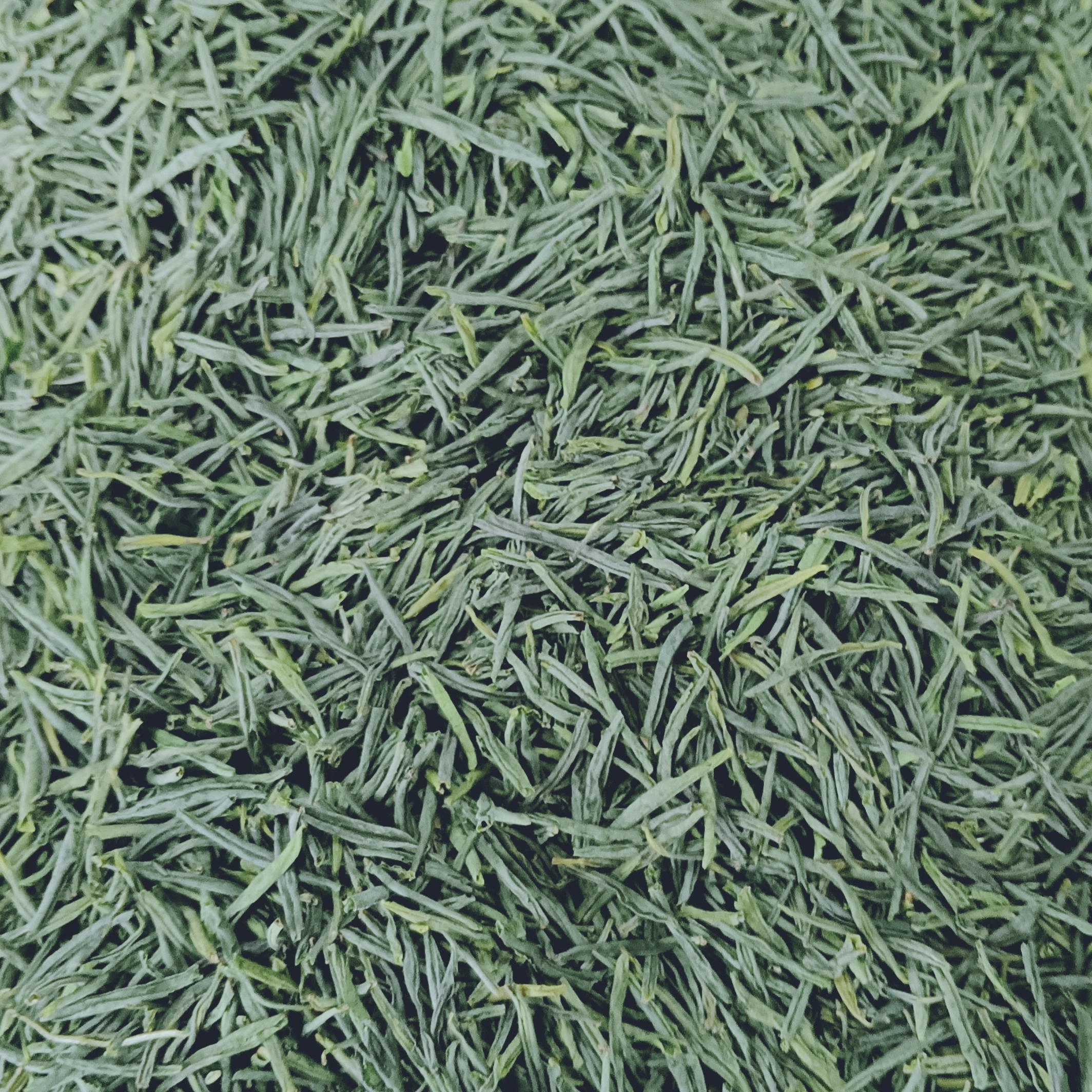 2025年新茶绿茶高山雨前炭火烘焙纯栗香六安瓜片