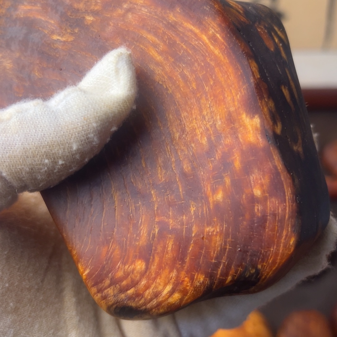 山***龙琥珀木长白山琥珀木