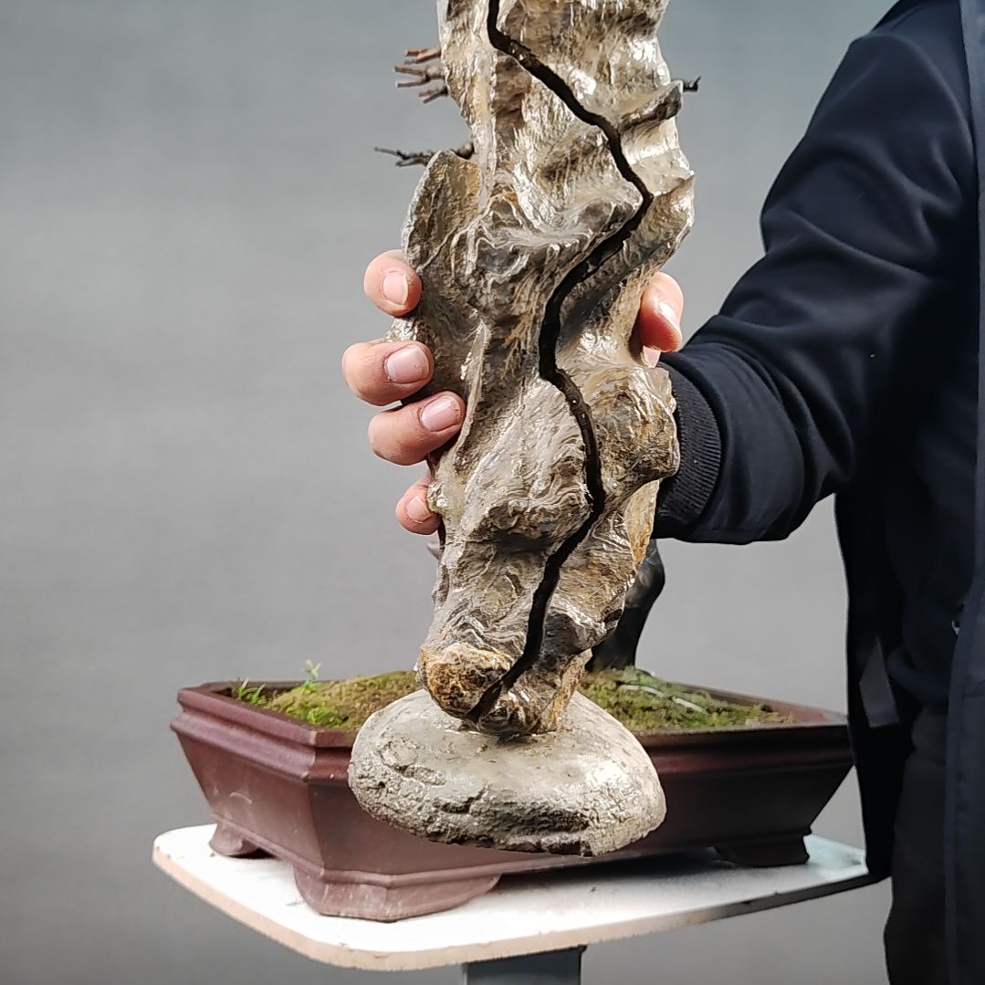 灵璧石快*狠灵璧石素材石头送树苗