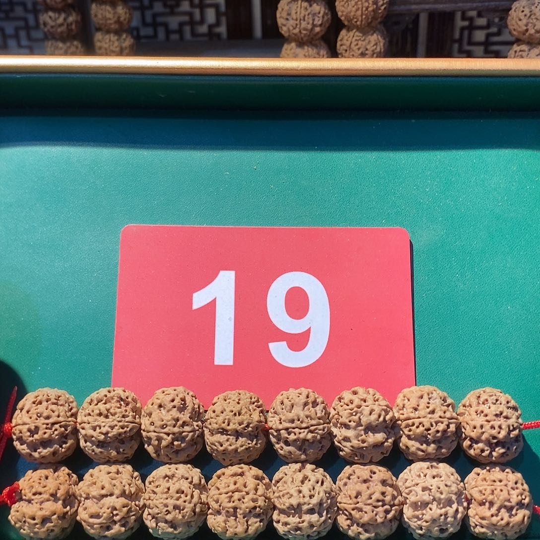 金刚菩提手串一条19号20