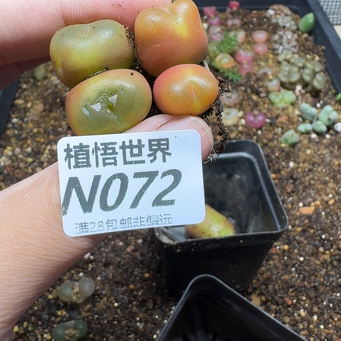 十***酒draw的人生的润泽的啊