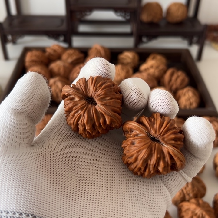 核桃全品四座楼无药