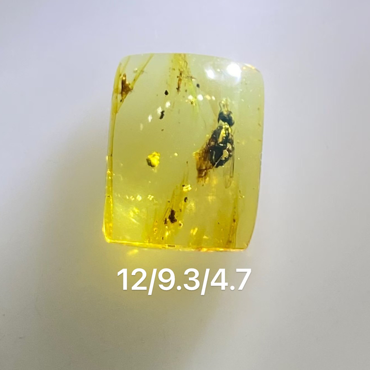 苍蝇方戒，苍蝇寓意常赢，肉质感不错，可镶嵌佩戴