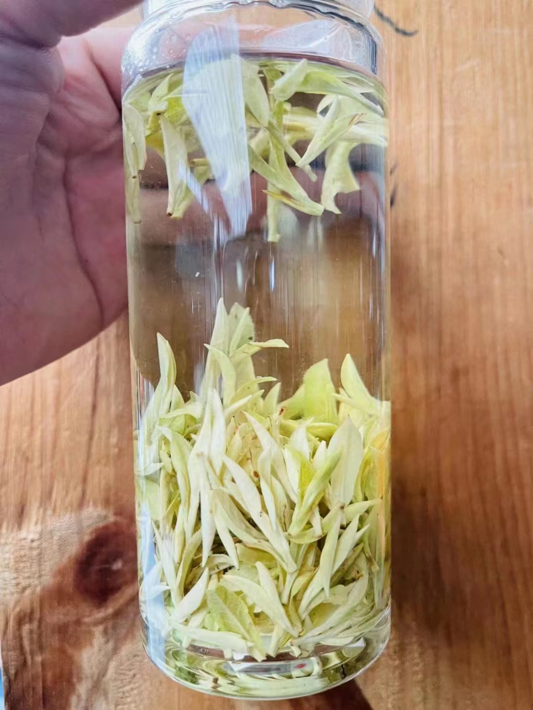 网红A499冰种极白2025年新茶冰种极明前茶檀木香奶香绿茶散茶