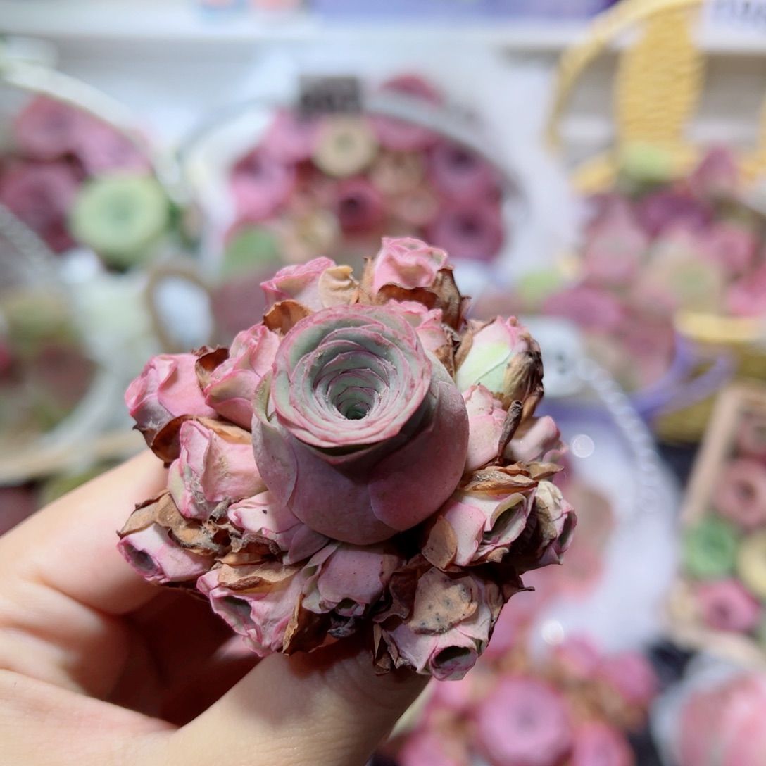 244桃杂手捧花。      