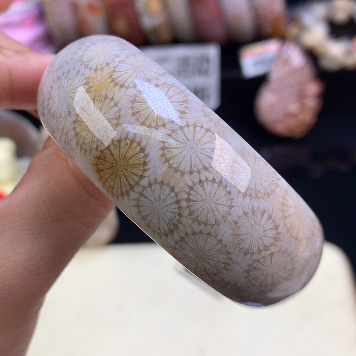 【闪购商品】颈饰未镶嵌硅化珊瑚（珊瑚玉）5号精美手镯54.3圈