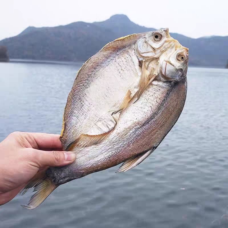 湖北农家阳干武昌鱼