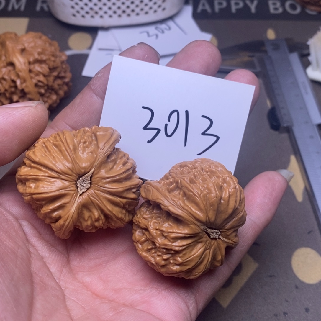 核桃白狮子头3013