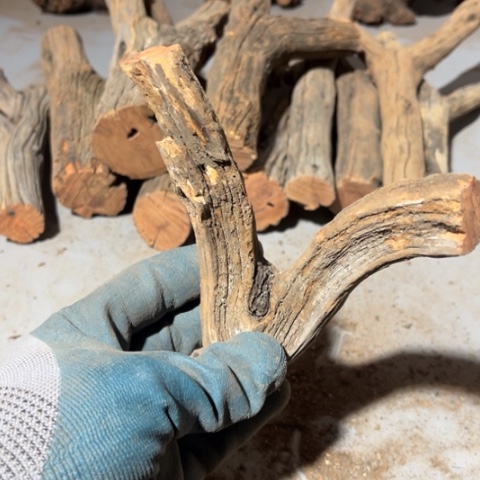 再***年大果紫檀（缅甸花梨）