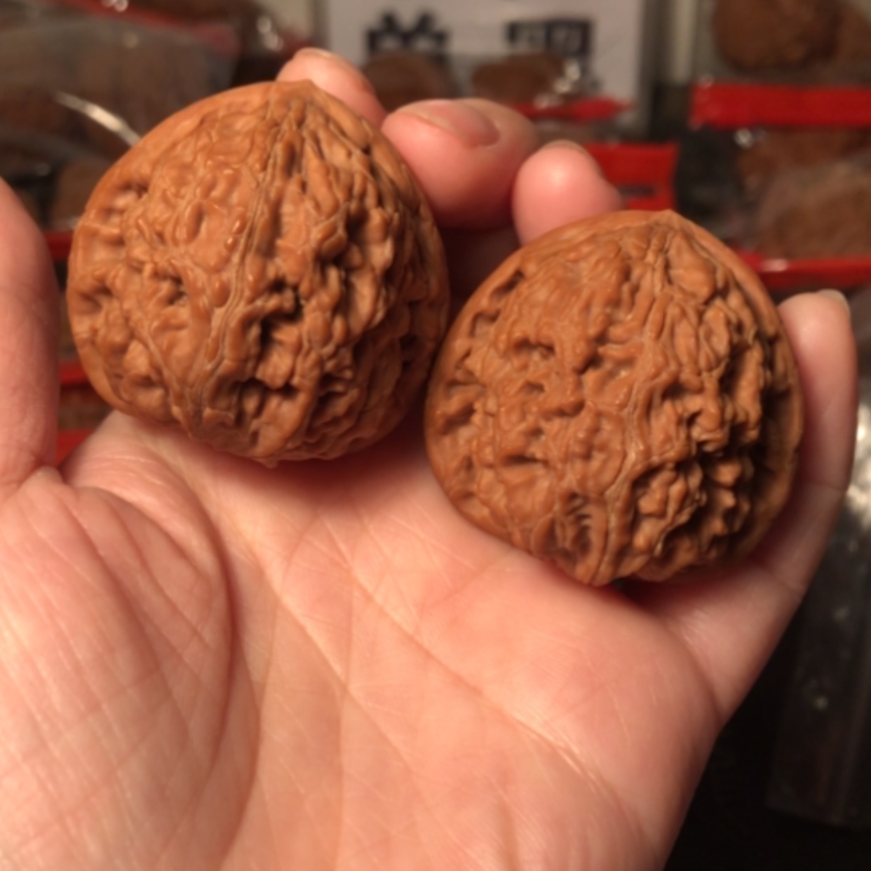 【闪购商品】文玩核桃把件水龙纹40.5