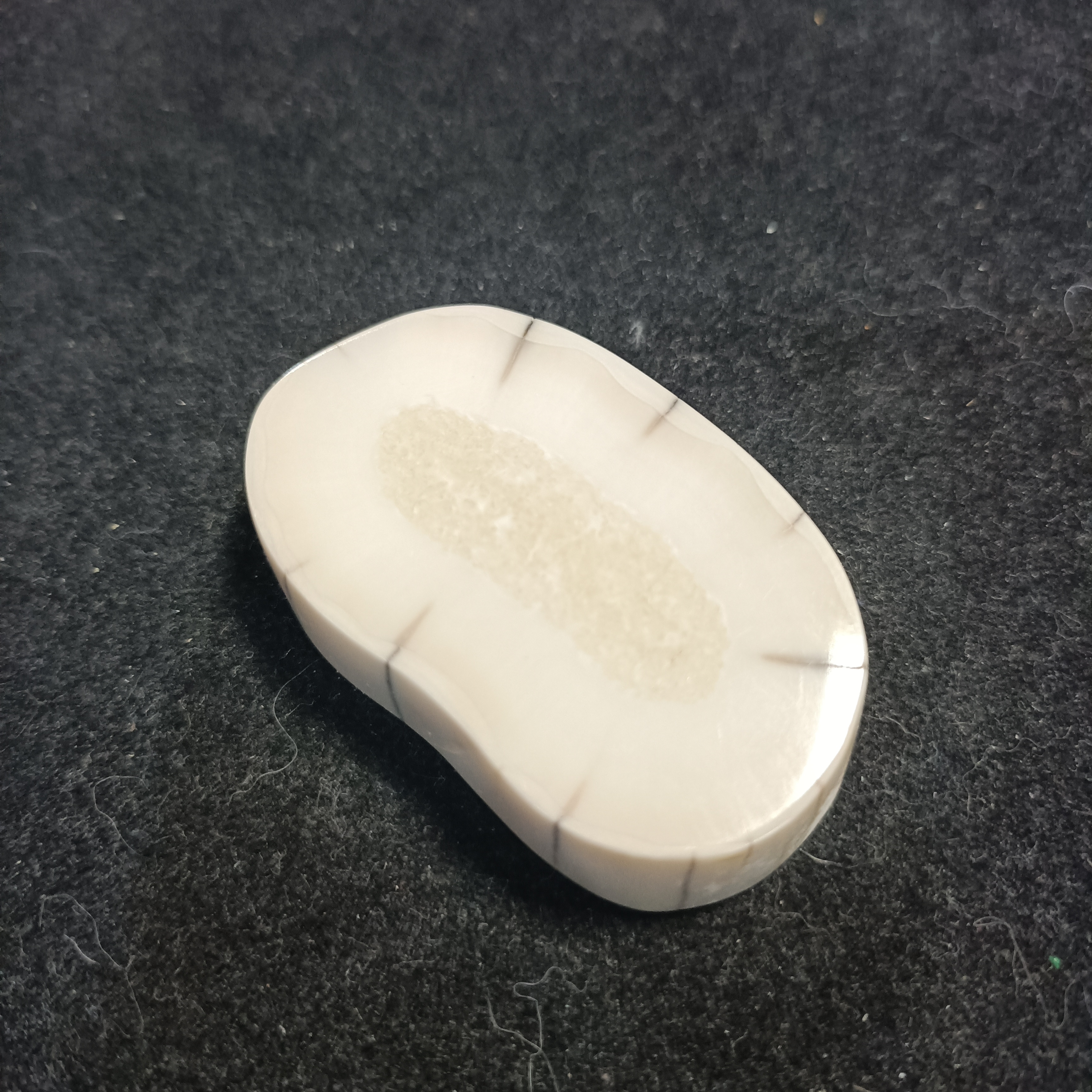 猛犸虬饼子GG534