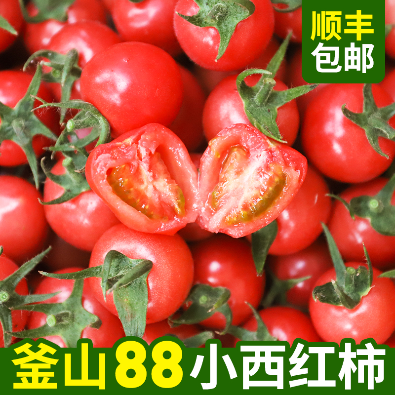 釜山88小番茄圣女果千禧玲珑果新鲜水果现摘樱桃小柿子自然熟