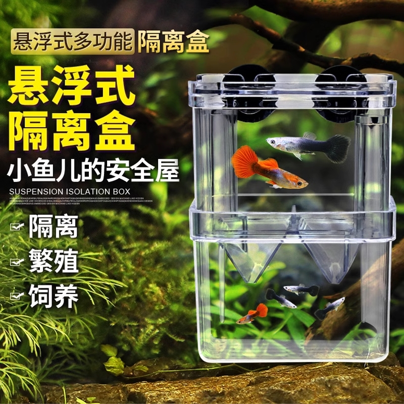 鱼缸孵化盒孔雀鱼繁殖盒凤尾斑马母鱼产房小鱼幼鱼苗饲养盒隔离盒