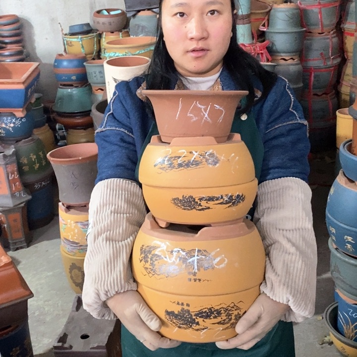 紫砂花盆盆栽花卉苗木种植